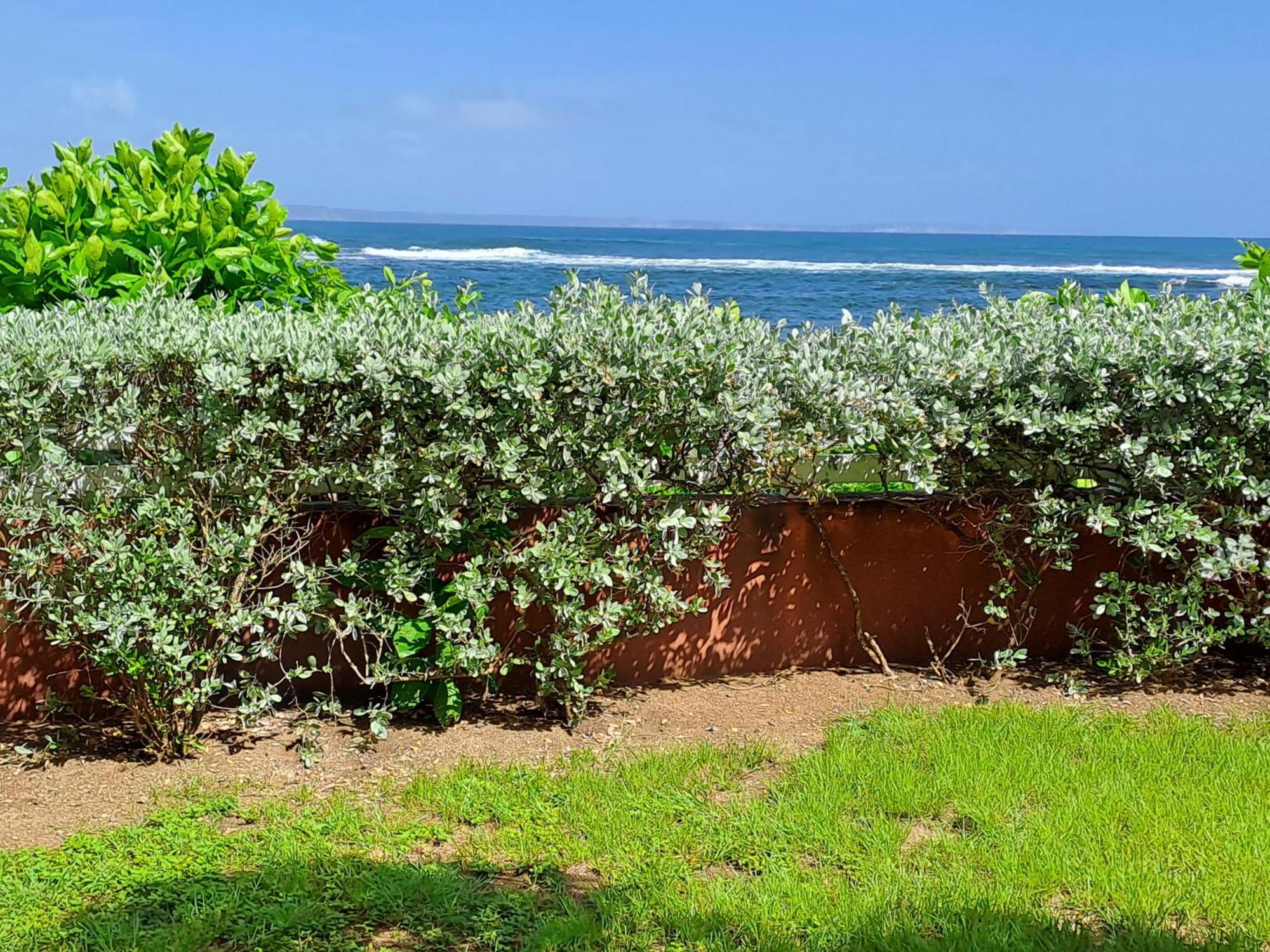 Rdc Appartement En Bord De Mer Au Son Des Vagues Le Moule Exterior foto